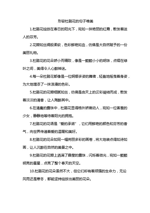 形容杜鹃花的句子唯美