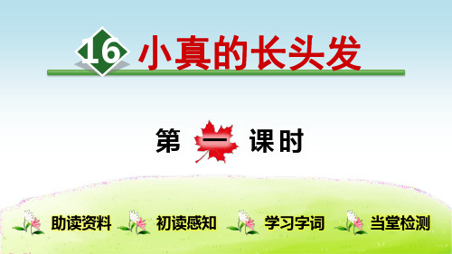 部编人教版三年级语文下册第16课《小真的长头发》优质教学课件