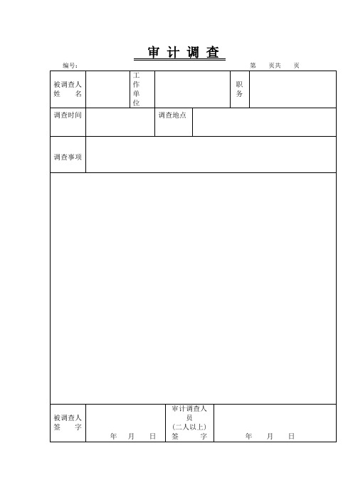 审 计 调 查(审计表格)