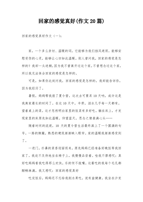 回家的感觉真好(作文20篇)