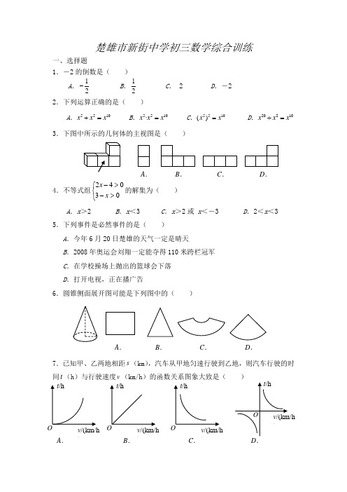 楚雄市新街中学初三数学综合训练试卷及答案