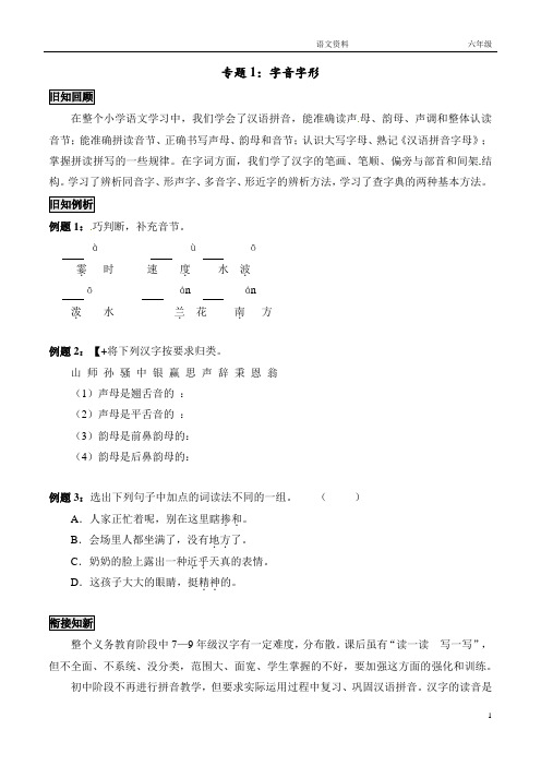 分类训练1：字音字形(附答案)(部编六年级语文)