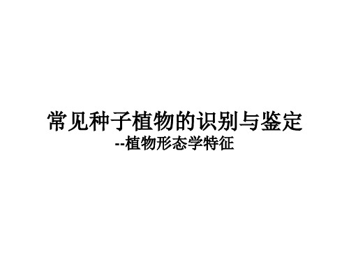 种子植物识别