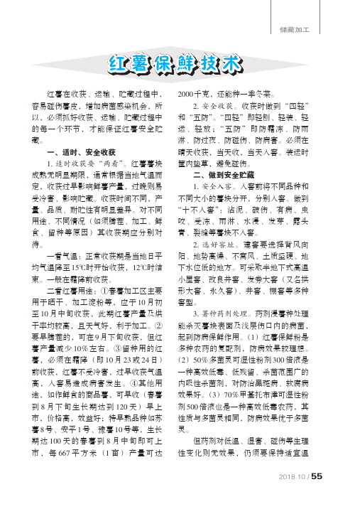 红薯保鲜技术