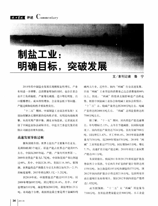 制盐工业：明确目标,突破发展