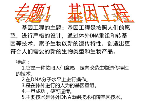 人教版高中生物选修三课件：1.1  基因工程  (共15张PPT)