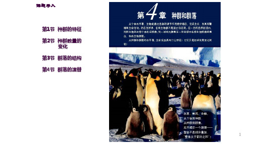 种群的特征ppt课件