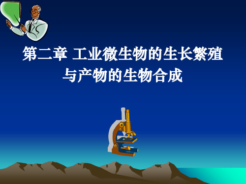 发酵工艺学课件第2章 微生物生长与产物合成