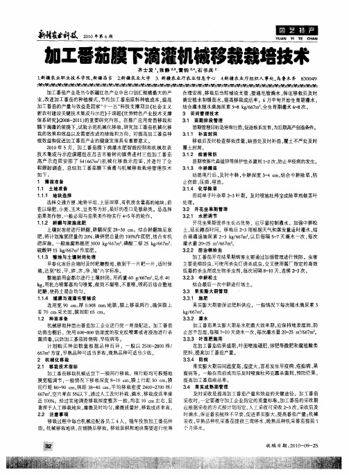 加工番茄膜下滴灌机械移栽栽培技术