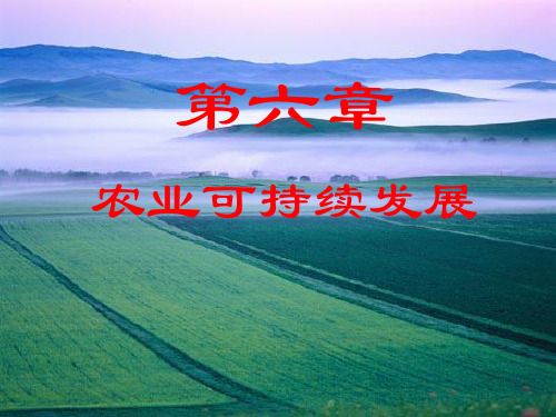 农业可持续发展战略