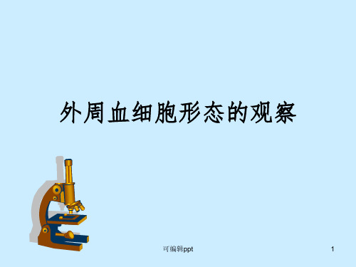 外周血细胞形态的观察ppt课件