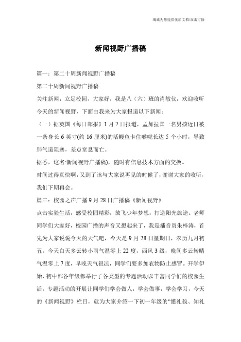 新闻视野广播稿