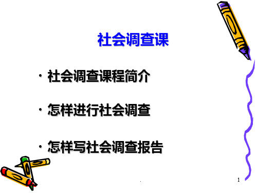 《社会调查报告》PPT课件