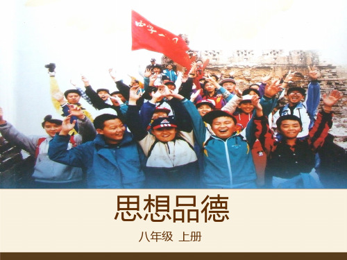 合作!竞争!PPT课件19 人教版PPT课件