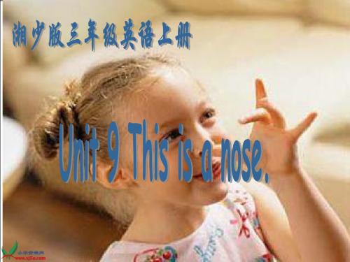 湘少版三年级英语上册课件