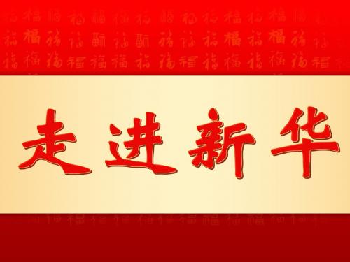 新华人寿公司简介