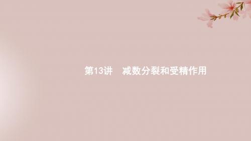2020版高考生物第4单元细胞的生命历程13减数分裂和受精作用课件新人教版