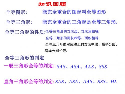 全等三角形复习(精华)