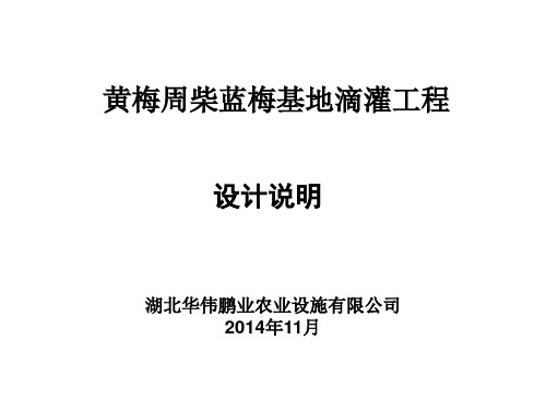 蓝莓滴灌系统设计方案