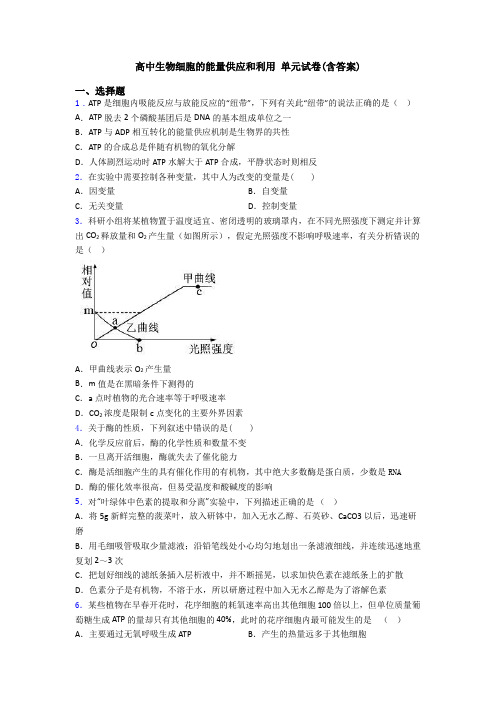 高中生物细胞的能量供应和利用 单元试卷(含答案)
