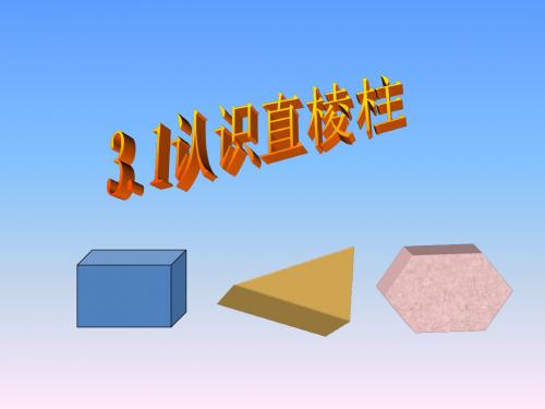 认识直棱柱课件3