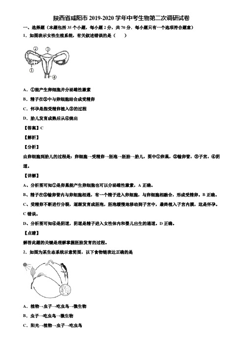 陕西省咸阳市2019-2020学年中考生物第二次调研试卷含解析
