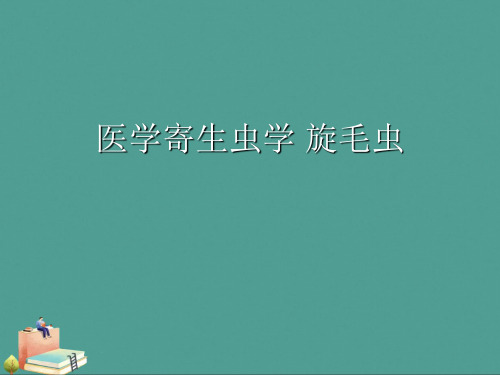 医学寄生虫学 旋毛虫优秀ppt