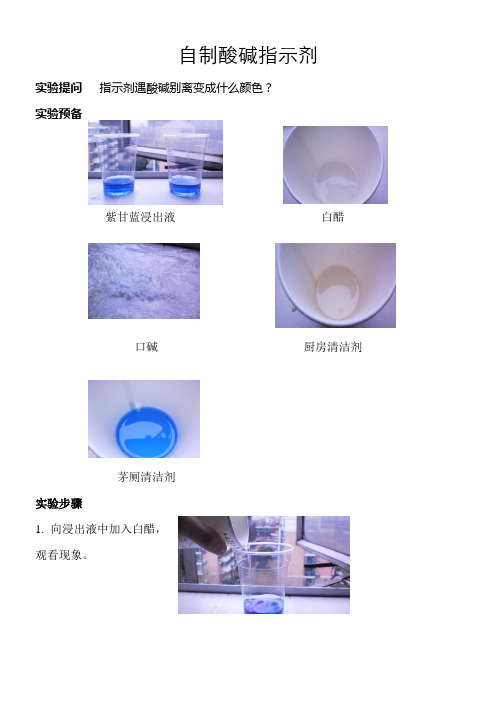 化学实验(自制酸碱指示剂)