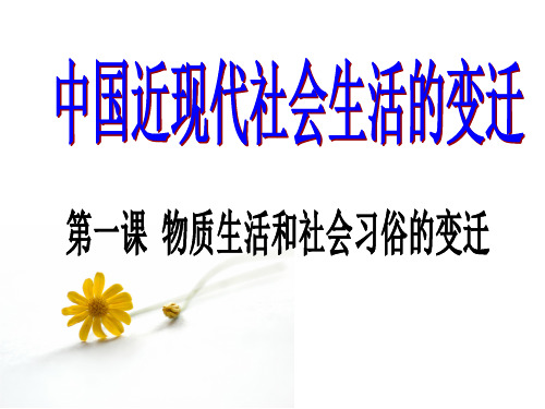 人民版高中历史必修二4.1《物质生活和社会习俗的变迁》优质课件(34张)