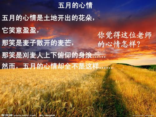 观刈麦课件[1]