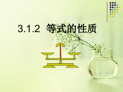 人教版七年级数学上册3.1.2等式的性质课件