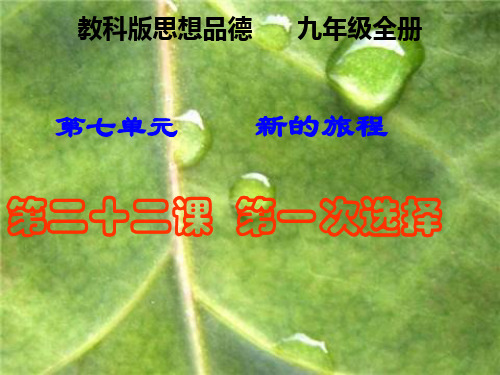 22课第一次选择