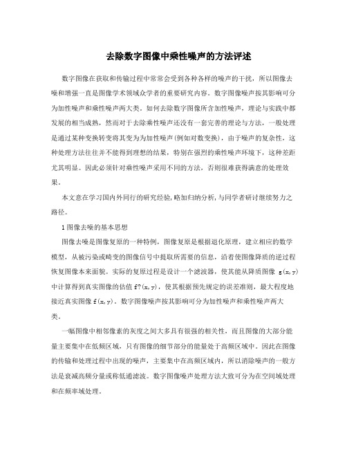去除数字图像中乘性噪声的方法评述