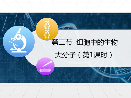 苏教高中生物必修一细胞中的生物大分子第1课时课件