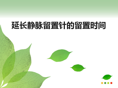 延长静脉留置针的留置时间PPT课件