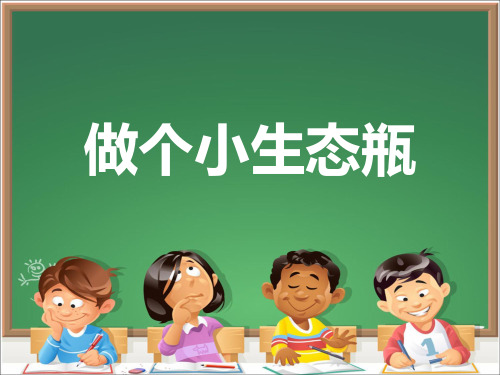 《做个小生态瓶》课件