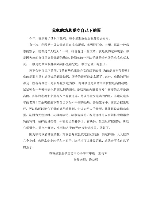 我家的鸡总爱吃自己下的蛋