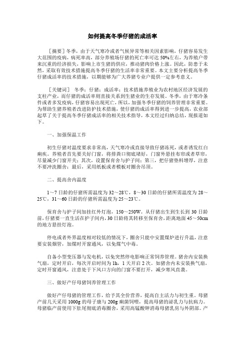 如何提高冬季仔猪的成活率