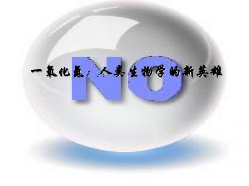 一氧化氮：人类生物学的新英雄