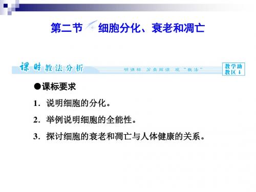 5.2 细胞分化、衰老和凋亡 课件(苏教版必修1)