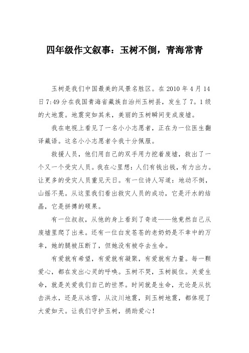 四年级作文叙事：玉树不倒,青海常青