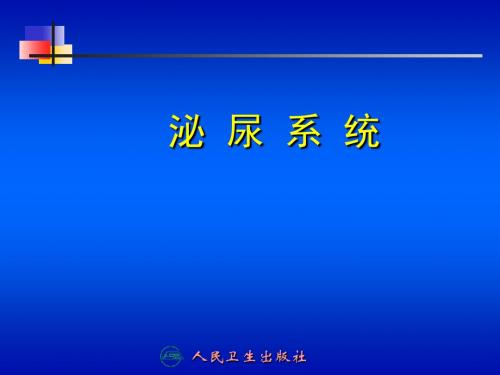 泌尿系统001资料