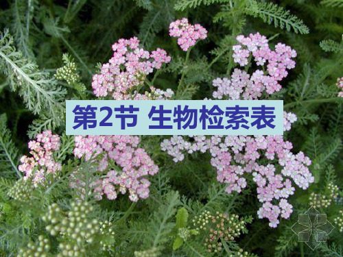 苏科版生物七年级下册课件：第14章 第2节 生物检索表 课件