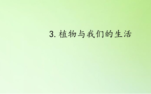 最新冀人版(义务教育版)三年级科学下册3.植物与我们的生活 优质课件