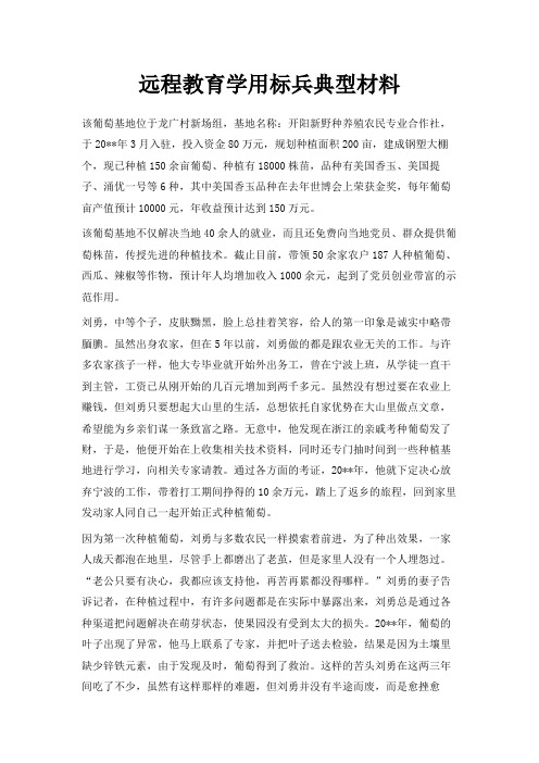 最新-远程教育学用标兵典型材料 精品