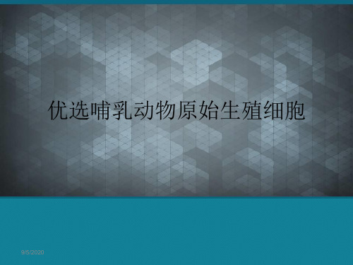 优选哺乳动物原始生殖细胞