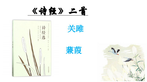 人教部编版八年级语文下册教学课件：12《诗经》两首 (共29张PPT)