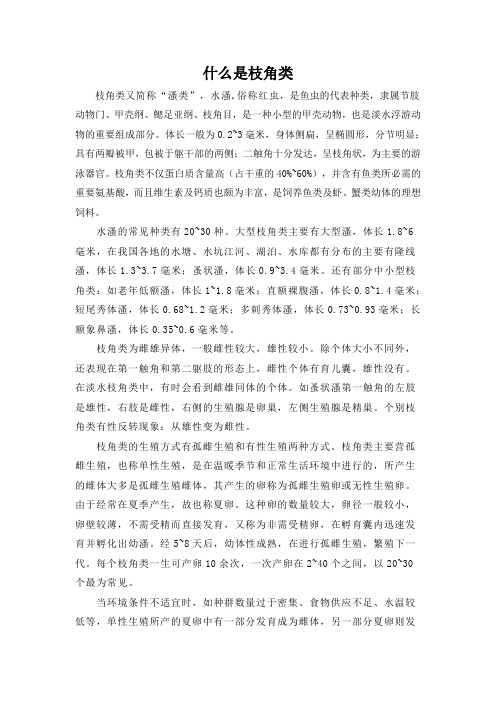 什么是枝角类