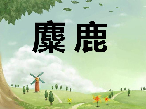 六年级上册语文课件-课文17 麋鹿｜苏教版 (共13张PPT)