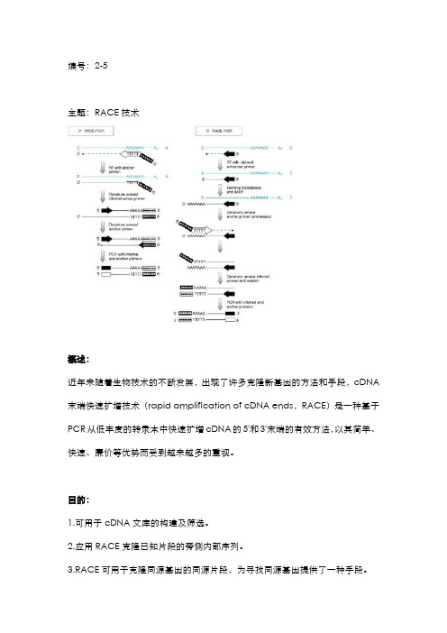 核酸检测篇5-RACE技术
